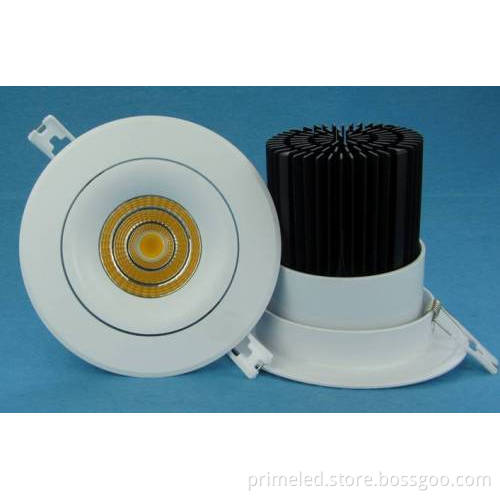 Forged 20w Cob Led Downlights